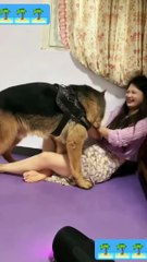 can you find the mistake _funny_animal _funny _funny animals _shorts
