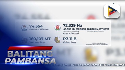 Mga magsasakang naapektuhan ng Bagyong #KristinePH, may matatanggap na insurance ayon sa PCIC
