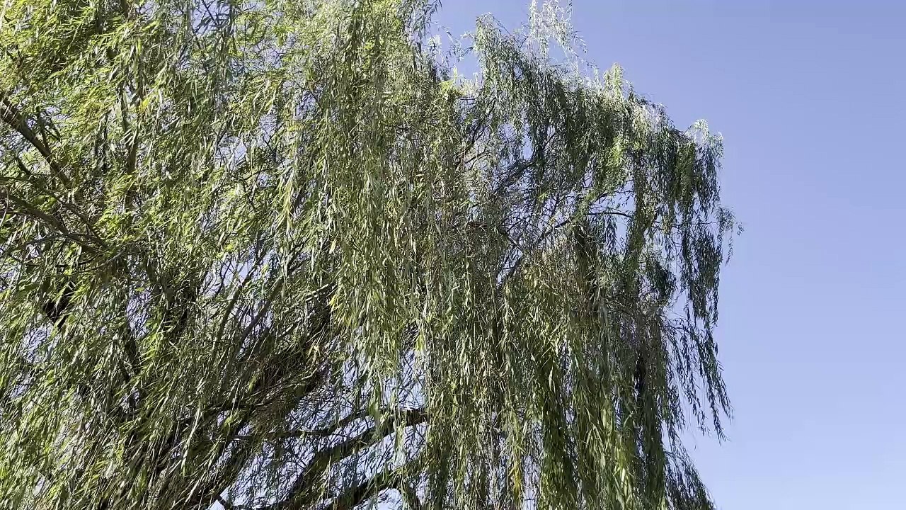 A moment to relax