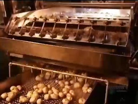 How Potato Chips Are Made..Did You Know #shorts #shortvideo #video #virals #videoviral #innovationhub