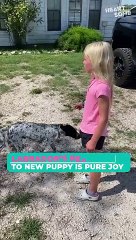 Dreams Do Come True! Daughter’s Priceless Reaction to Surprise