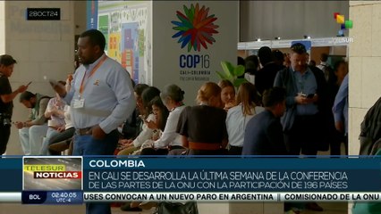 En Colombia se desarrolla la segunda semana de la COP16
