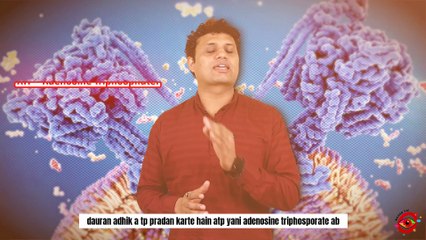 Kya Hai Muscle Growth ke Liye Best Supplement? | Nazar Ya! Ki Healthy Nagariya