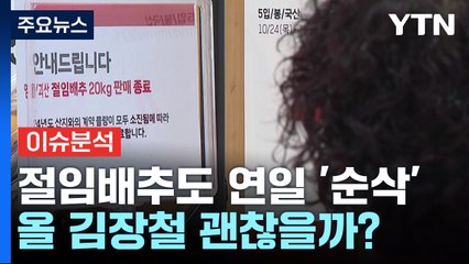 [경제PICK] 절임배추도 연일 '순삭'...올 김장철 괜찮을까? / YTN