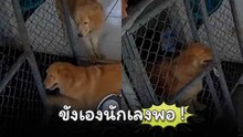 เมื่อน้องอยากอยู่ตามลำพัง…