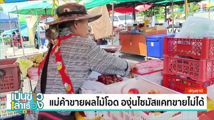 แม่ค้าโอด ลูกค้าเลิกซื้อองุ่นไชน์มัสแคท | เป็นข่าวเล่าเรื่อง | 29 ต.ค. 67 | PART 1