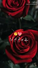 lvtemp_acdfcebe-2283-4a43-a564-138fc01b42246