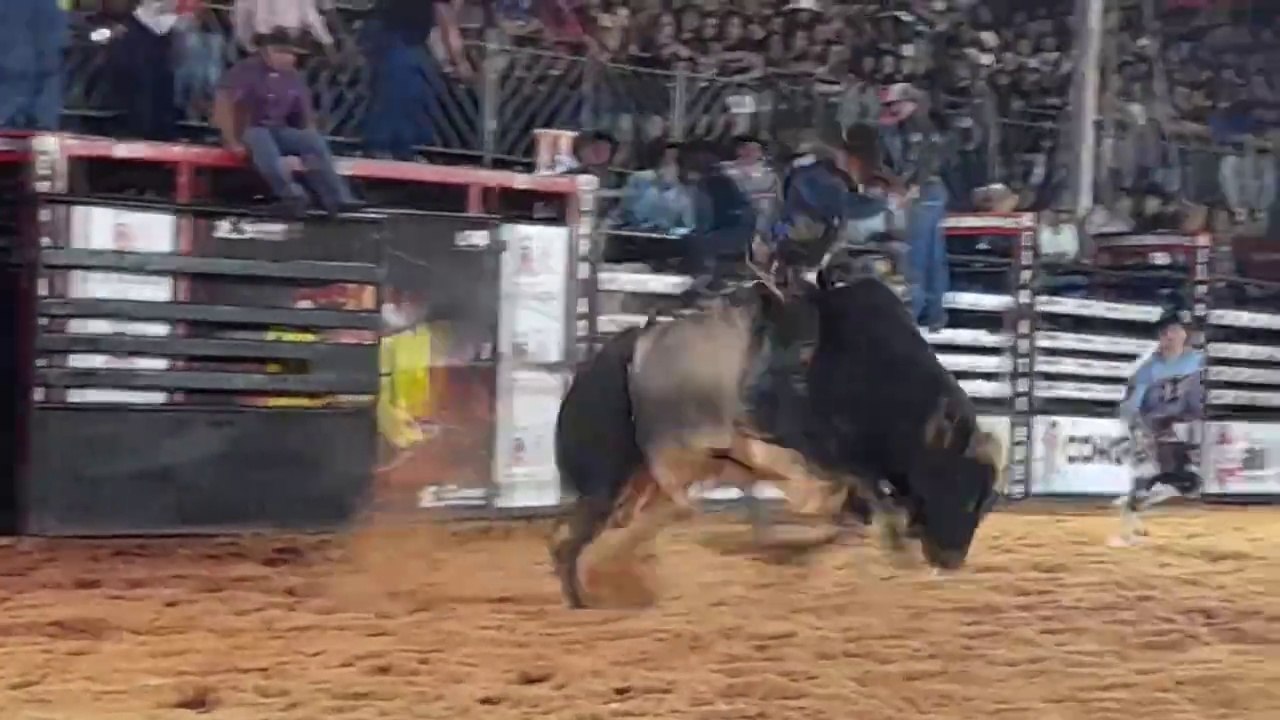 RODEIO - EXPO ARTUR 2022 - FINAL MONTARIA EM TOUROS 22_10_22 (P11)