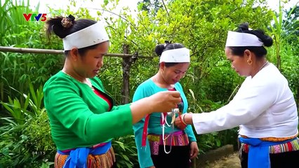 Tình yêu và tham vọng - Tập 52