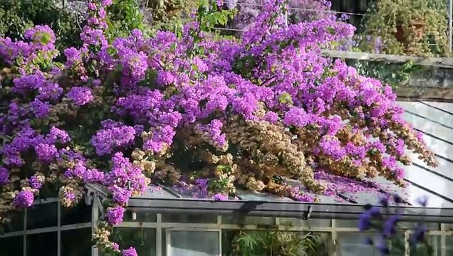 Isola Del Garda: Die größte Insel im Gardasee