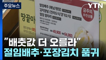 "배춧값 더 오를라"...절임배추·포장김치는 '완판' 행렬 / YTN