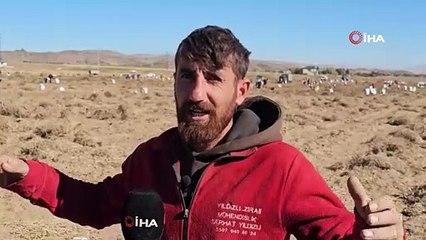Çöpe atmak yerine vatandaşlara bedava dağıttı
