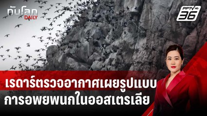 เทคโนโลยีเรดาร์ตรวจอากาศเผยรูปแบบการอพยพนกในออสเตรเลีย | ทันโลก DAILY | 29 ต.ค. 67