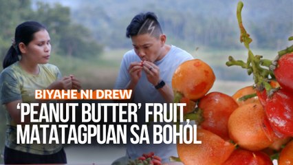 ‘Peanut butter’ fruit, matatagpuan sa Bohol | Biyahe ni Drew