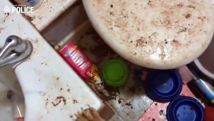 Heartbreaking video shows neglected and starved dogs in Sheffield desperate for water