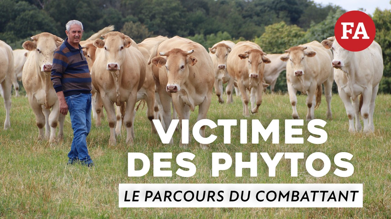 Victimes des phytos, le parcours du combattant