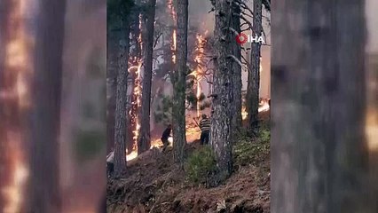 Denizli'deki orman yangınında 6 gün... 400 hektar alan kül oldu