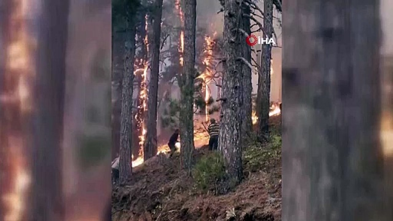 Denizli'deki orman yangınında 6 gün... 400 hektar alan kül oldu