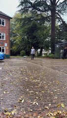 Robot dog amazes shoppers in Horsham