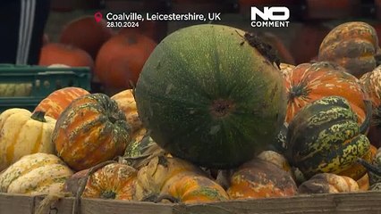 No Comment : préparation de citrouilles à l'approche d'Halloween