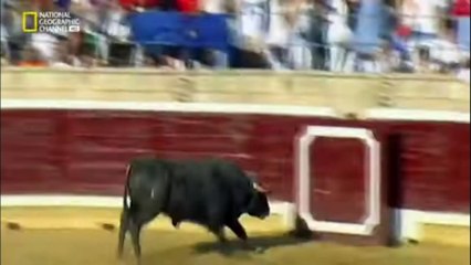 do or die hindi tornado