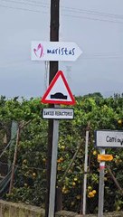 El riu Magre al seu pas per Algemesí