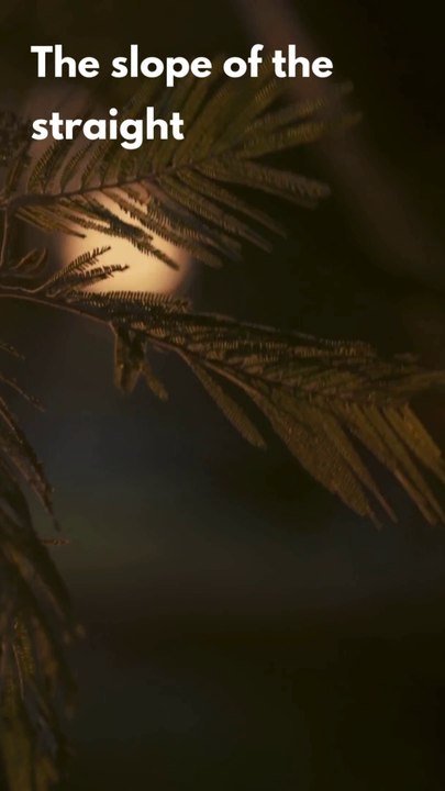 What is metamorphosis? What you must know about metamorphosis