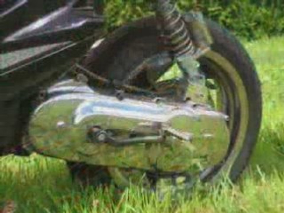 Nitro polini mallossi