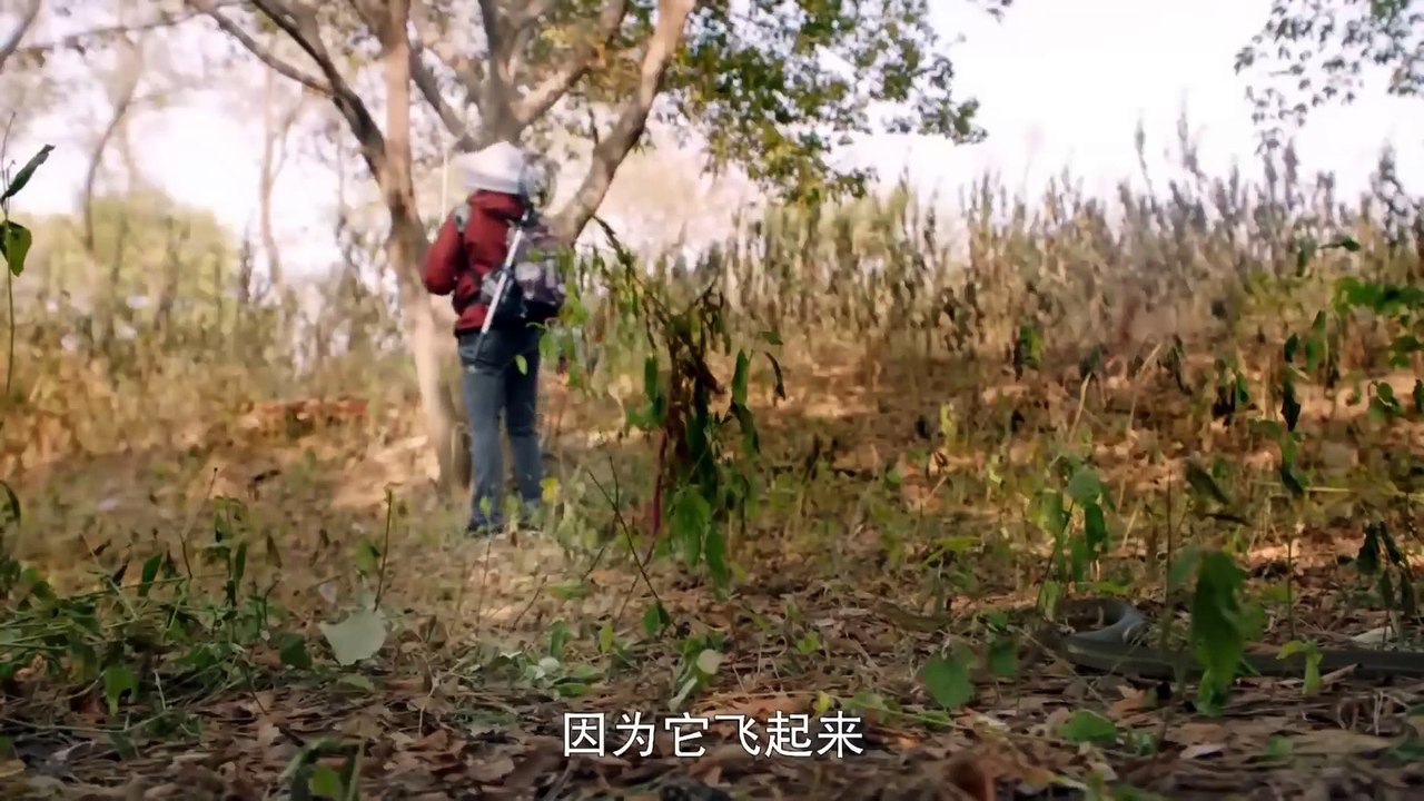 (22)_Chiến Đội Vương Bài - Tập 22