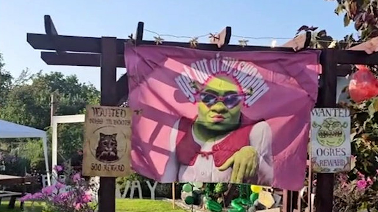 Woman hosts epic Shrek-themed party for her 25th birthday