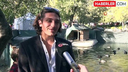 Kuğulu Park'ta 29 Ekim'de 5 Kuğu Yavrusu Dünyaya Geldi