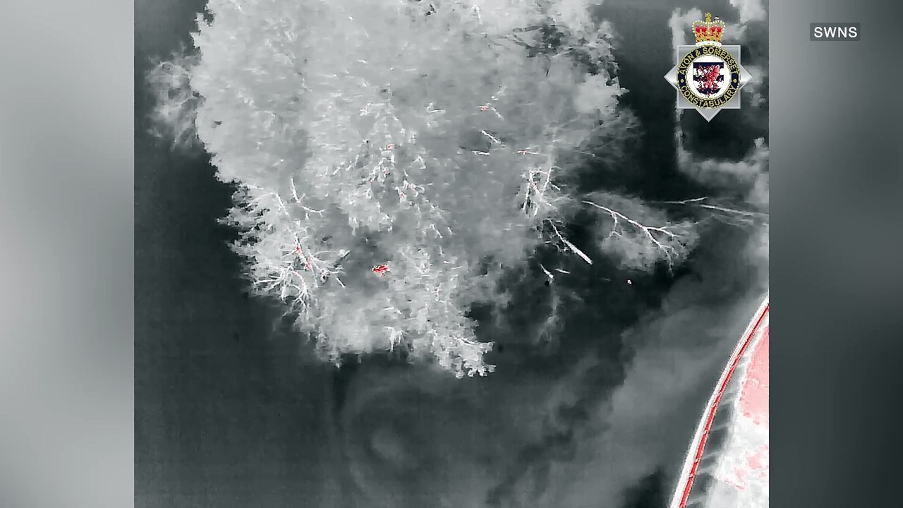 Drone footage captures thief evading capture by swimming on lake to hide on island