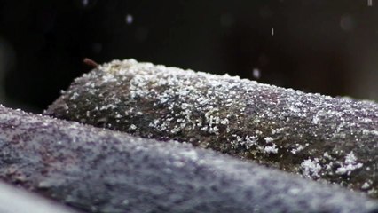 Fiberglass Insulation in Atlanta