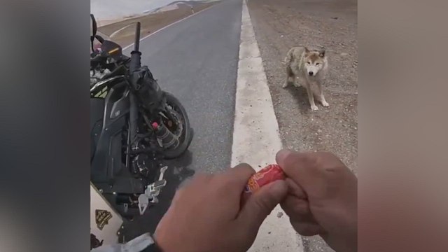 Un hombre se encuentra a un loco hambriento en medio de la nada: de esos vídeos que emocionan