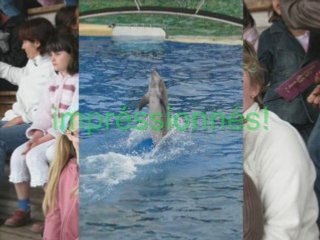 Vacances en provence 2008