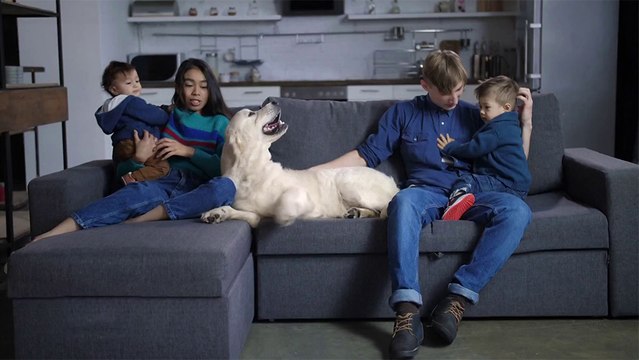 bd-los-beneficios-de-tener-una-mascota-291024