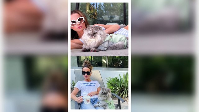 Who is the most attractive/ beautiful actress in the world? Top 5 | Celebrity Biographies