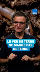 Le ver de terre ne mange pas de terre