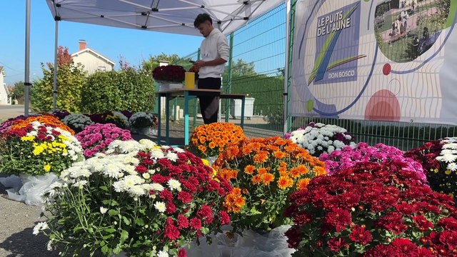 Des lycéens vendent des chrysanthèmes pour la Toussaint