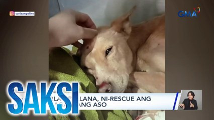 Saksi: (Part 3) Carla Abellana, the dog rescuer; Spooky transformation ng isang ancestral house