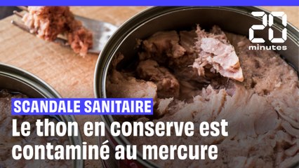 Vos boîtes de conserves de thon sont contaminées au mercure
