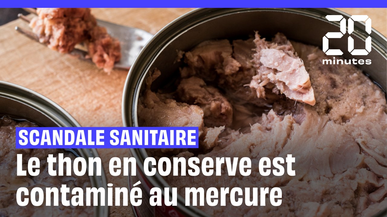 Vos boîtes de conserves de thon sont contaminées au mercure