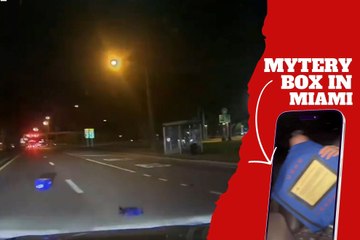 Driver finds a mysterious box on a Miami highway and decides to pick it up