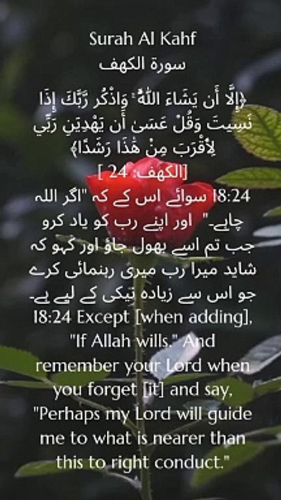 "Only if Allah wills. Remember your Lord and say, 'Perhaps my Lord will guide me to what is nearer to the right than this.' #Quran #SurahAlKahf #Islam #Faith #Guidance #Hope"