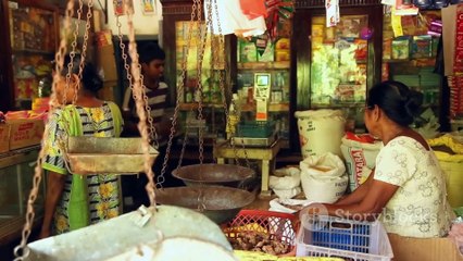 Discover Sri Lanka_ A Traveler's Paradise 2024 Culture Foods Places Weather & every details Included