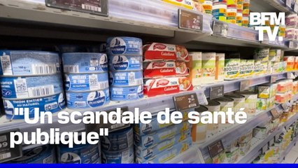 Deux ONG alertent sur la forte présence de mercure dans nos boîtes de thon en conserve