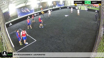 But de Alexandre H - Les Puristes