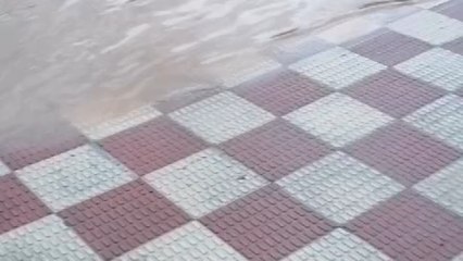 La tormenta provoca grandes balsas de agua en el municipio toledano de Cobisa.