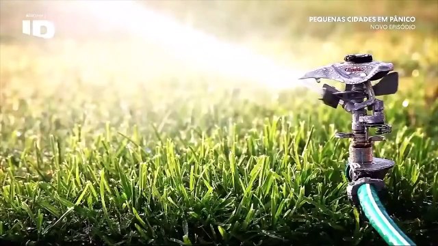 ID - PEQUENAS CIDADES EM PÂNICO - CASO ALEXIS MURPHY