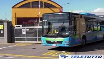 Video News - Arriva, 48 stop in un mese. Tpl: 